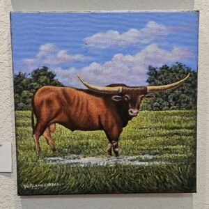 Longhorn in a Puddle