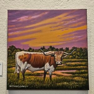 Longhorn in the Morning