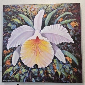 “Orquidea” (Orchid)